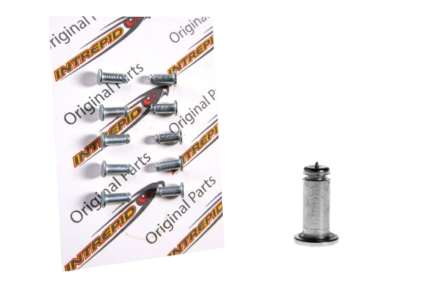 PLUG Ø6mm WITH FLAT HEAD (KIT 10 pcs.)