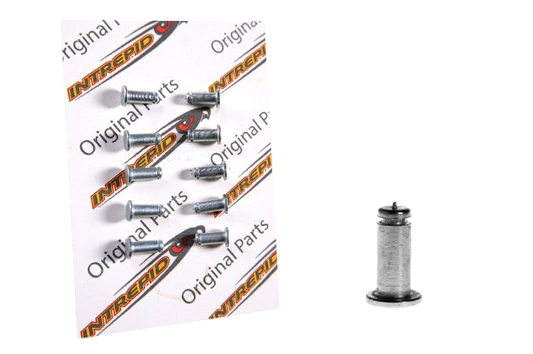 PLUG Ø6mm WITH FLAT HEAD (KIT 10 pcs.)